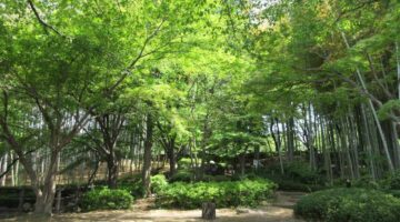 川口市・戸塚中台公園の風景