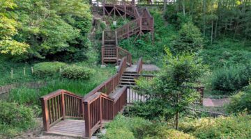 川口市・戸塚下台公園の風景