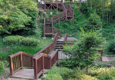 川口市・戸塚下台公園の風景