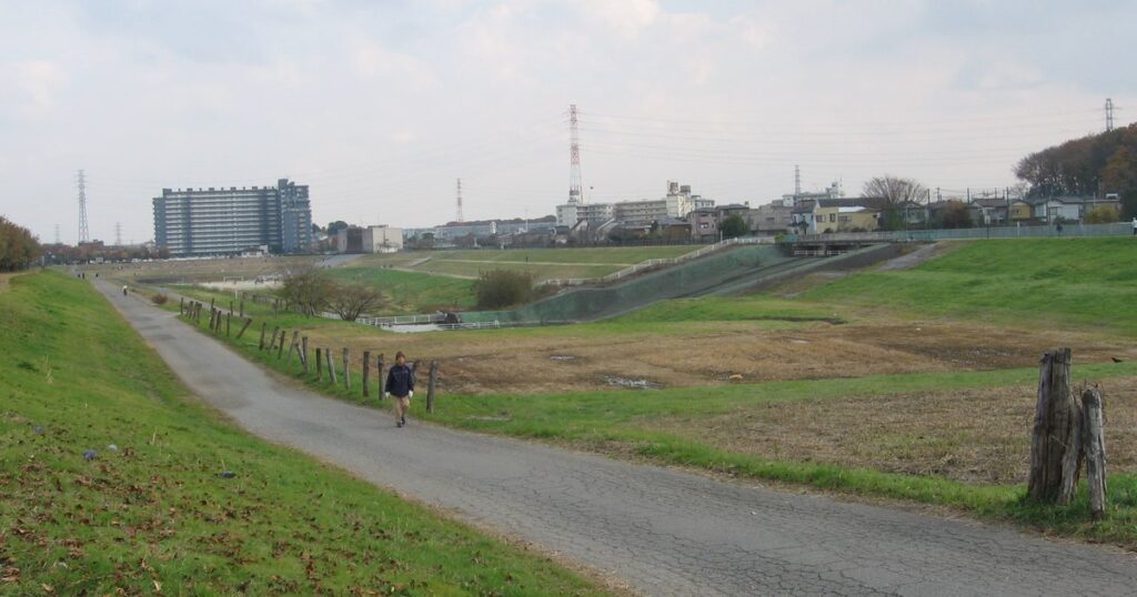 川口市・上谷沼調節池の風景