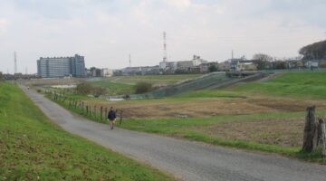 川口市・上谷沼調節池の風景