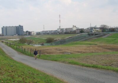 川口市・上谷沼調節池の風景