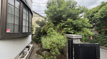 埼玉県戸田市 庭木の伐採 作業前