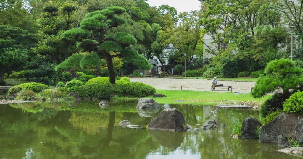 川口市 マキ 剪定