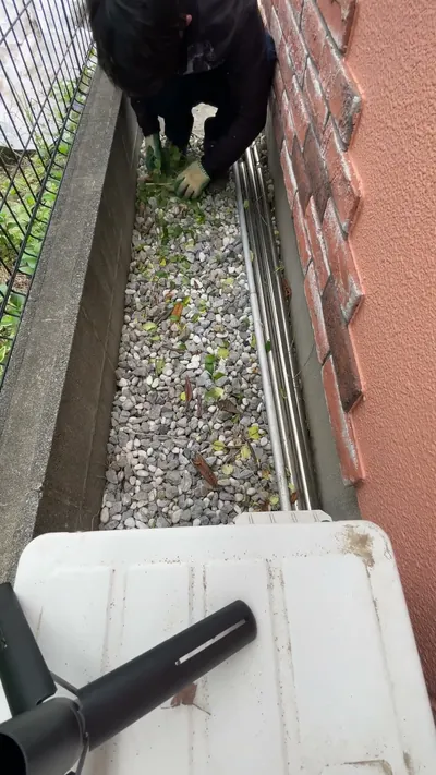 雑草の草むしりをしている作業
